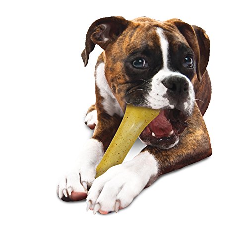 Nylabone Moderate Chew FlexiChew Chicken Bone Large Breed Dog Toy