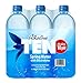TEN Alkaline Spring Water, pH 10, High in Electrolytes, 16.9 Ounce Bottle (Pack of 6)