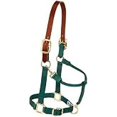 Weaver Equine Breakaway Horse Halter, Supple Leather Crown, Adjustable Brass Throat Snap Halters for Horses, Equine Tack
