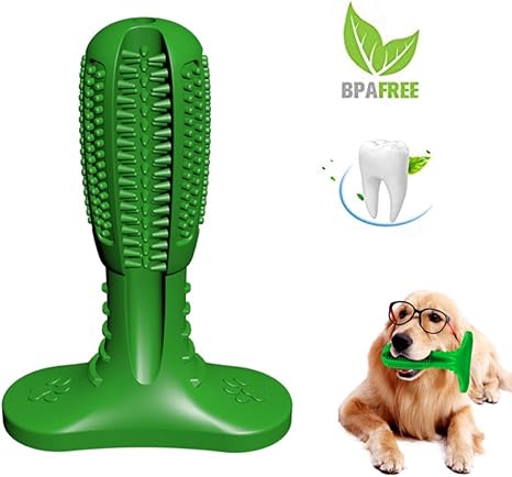amazon dog teeth cleaning