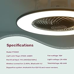 YANASO Ceiling Fan with Light
