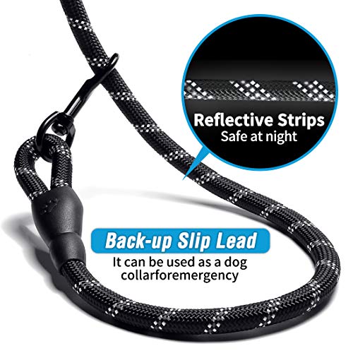 10 ft dog lead