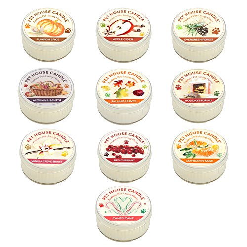 Pet House Mini Candle Sampler - 10 Pack Holiday Sampler - Odor Neutralizing - 100% Natural Soy Wax - 10-12 Hour Burn Time - Made in the USA - Perfect Pet Lover Stocking Stuffer