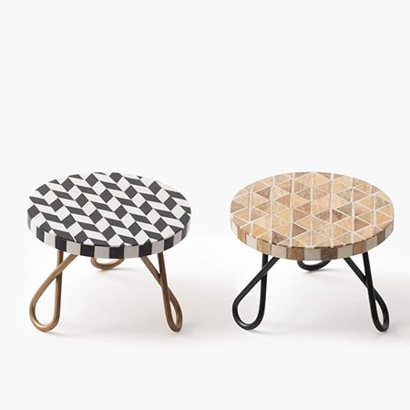 CASADECOR Mid-Century Modern Filament Plant Stand Small Round Modern Home Decor Side Table for Multi Purpose for Indoor and Outdoor (Set of 2)