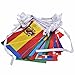 8.2'' x 5.5'' International String Flags Banners, Countries Flags Pennant Banner for Olympics,Grand Opening,Bar,Sports Clubs, Festival,Party Events Decorations (50 Countries Flags)
