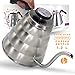 Pour Over Coffee Kettle with Thermometer - Gooseneck Drip Stainless Steel Stovetop Teapot (1.2L)