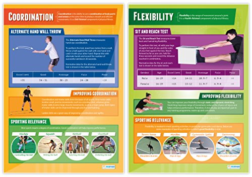 Components of Physical Fitness - Set of 12 PE Posters | Classroom Posters for PE | Gloss Paper measuring 33" x 23.5" | Phys Ed School Posters | Physical Education Gym Charts, by Daydream Education - Thumbnail 3