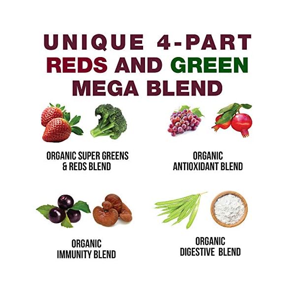 Kids Greens and Reds Superfood Powder. Best Tasting Organic Vegan Super