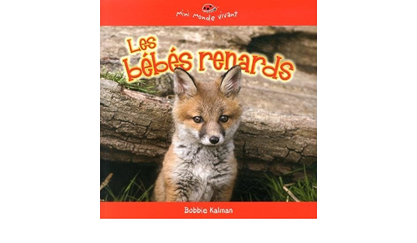 Les Bebes Renards Amazon Com Books