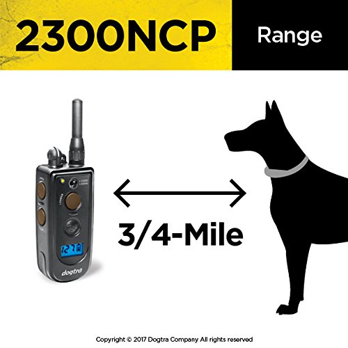 Dogtra 1 Dog Advance Training Collar