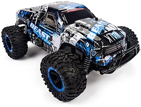 RC Car,Remote Control Cars,1:16 High Speed RC Buggy Vehicle,2.4Ghz 25M 2WD Electric Race Truck For Children,Blue