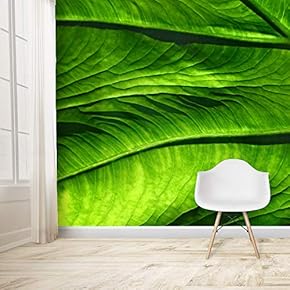 Wall Mural Spectacular Scenery of Nature Removable Self-Adhesive Large Wallpaper - 66x96 inches