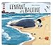 L'enfant et la baleine by 