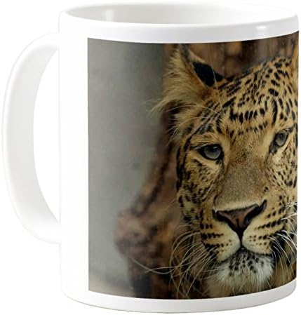 AquaSakura - Big Cat Meditating - 11oz Ceramic Coffee Mug Tea Cup