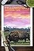 Lantern Press 9x12 Inch Art Print Wall D√©cor, Yellowstone National Park, Bison and Sunset