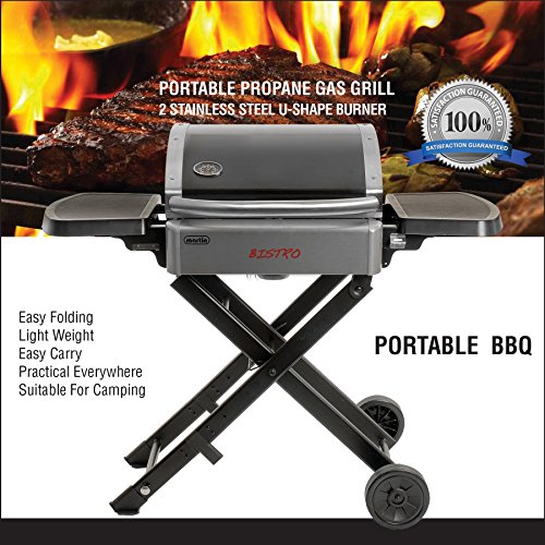 Martin Bistro Gas Grill Portable Stainless Steel Tabletop BBQ Propane Barbeque Grills for