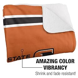 Buffalo State College Bengals Primary Logo Stripes