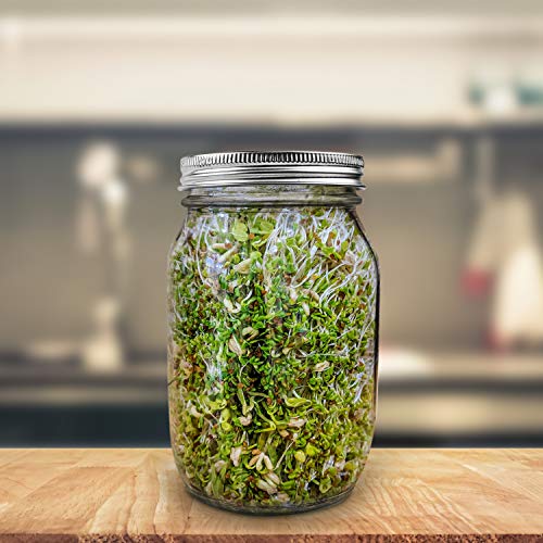 POTS Sprouting Jar Kit Complete with Wide Mouth Mason Jar, Stainless