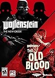 Wolfenstein: The Two-Pack - PC [video game]