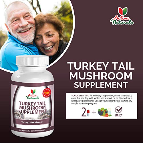 Turkey Tail Mushroom Supplement 120 Veg. Capsules with Coriolus