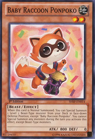 Yu-Gi-Oh! - Baby Raccoon Ponpoko (SHSP-EN014) - Shadow Specters - 1st Edition - Common