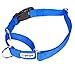 GOGO Pet Products 5/8-Inch Martingale Dog Collar, Small, Blue