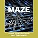 The Maze: The Lost Labyrinth by 