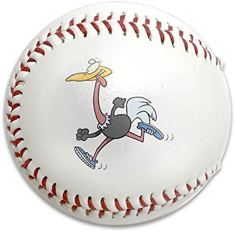 Nvthenpiaoliang Cute Ostrich Running Amusing Particular Soft Standard Practice Ball Baseball Game Ball