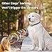 Bark Collar Rechargeable Smart Induction Anti Incorrect Triggering [2017 NEW] 7 Sensitivity Levels No Bark Training Collar Beep/Vibration/Safe Shock for Small Medium Large Dogs By Kungber