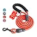 Toozey 5 FT Dog Leash, Rope Leash with Comfortable Padded Handle and Reflective Threads, Heavy Duty Braided Leash for Medium Large Dogs, Red