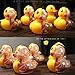 4D Vision Animal Anatomy - Bathing Ducky Funny Anatomy by Jason Freeny