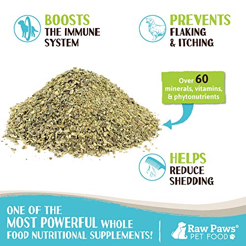 Raw Paws Organic Sea Kelp for Dogs & Cats, 4oz Iodine Rich for