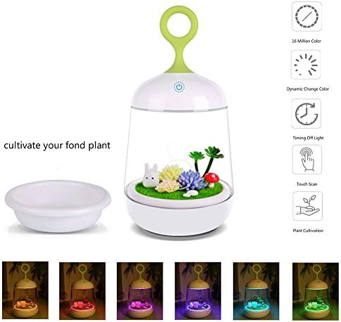 Oyzmax Smart Touch Sensor night light Bedside Lamp Color Changing with DIY Micro landscape Plant Children LED Rechargeable Table Lamp