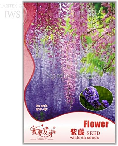 Amazon Co Jp 18 ミックス ウィスター シード盆栽藤花 オリジナル パック シード4種 あなたの庭を照らすiwsa241 ホーム キッチン