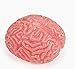 Splat Ball Novelty Squishy Brain Toy