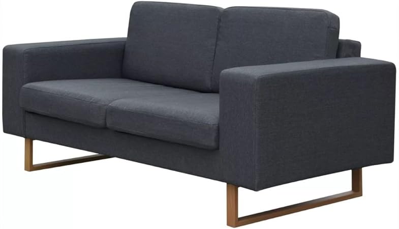 Vidaxl Canapé 2 Places Tissu Gris Foncé Canapé Pour Salon Sofa Meuble De Séjour
