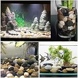 Hisredsun Decorative River Pebbles 3.96 lb for Aquarium Garden Landscaping view 4