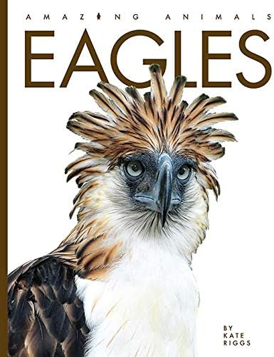 Owls of the World: Hume, Rob, Boyer, Trevor: 9781561380329: Amazon