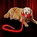 Illumifun LED Dog Leash, USB Rechargeable Light Up Dog Lead, 47.2inch Nylon Glowing Pet Leash for Your Night Dog Walking (RedⅠ)
