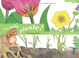 Une  belle plante !