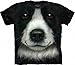 The Mountain Border Collie Adult T-Shirt, Black, Large