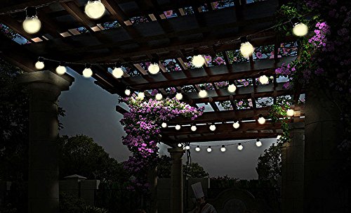 image for GPCT Solar Powered Night Bulb String Light (Auto On/Off, Solar Panel w