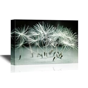 Canvas Wall Art - Macro Closeup of Dandelion Seeds Standing Up - Gallery Wrap Modern Home Art | Ready to Hang - 12x18 inches