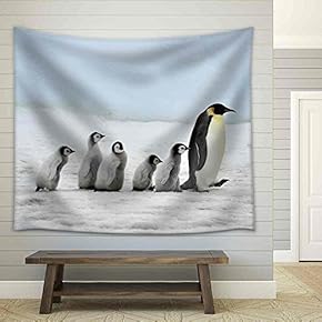 Emperor Penguin with Chick Snow Hill, Antarctica 2010 on The Icebreaker Kapitan Khlebnikov - Fabric Wall Tapestry Home Decor - 51x60 inches