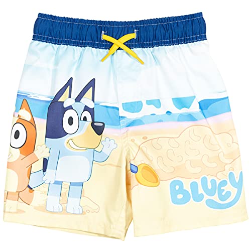 Bluey and Bingo Little Boys Raglan 2 Piece Rash Guard & Swim Trunks Set