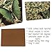 Rainy Dog Hard Placemats Cork Backed Hard Fiberboard Hardboard Mat Nature Scene Botanical Flower and Butterfly Board Placemat Kitchen for Dining Place Table Mats Set of 4 Large Thick 11.8 by 15.7