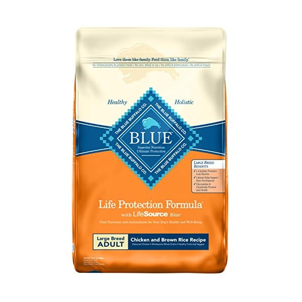 blue buffalo holistic