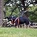 Head Tilt Double Dog Leash, Black, one Size (HT61002B)