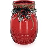 burton+BURTON burton + BURTON Large Red Translucent Vase with Twine and Holly Attachment, 8-inch Height, Tabletop Decoration, 9744099