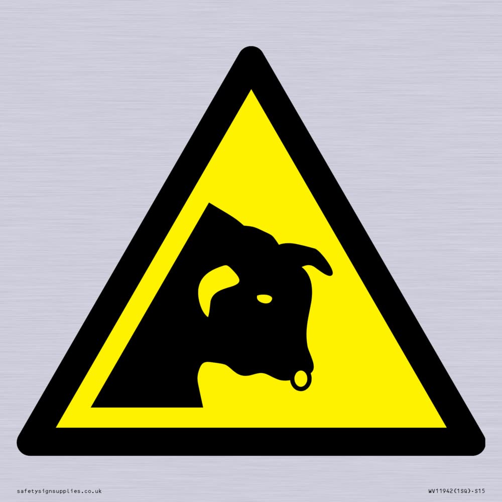 W034 Warning: Bull Sign - 150x150mm - S15
